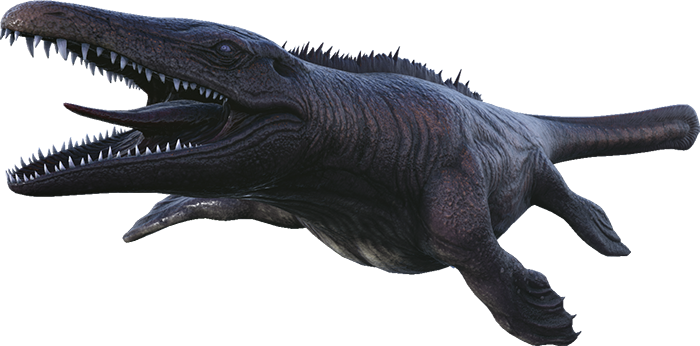 Mosasaurus