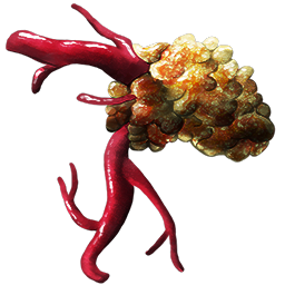 Acro Adrenal Gland