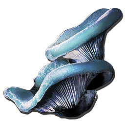 Aquatic Mushroom