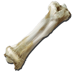 Dinosaur Bone