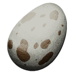 Extra Small Egg