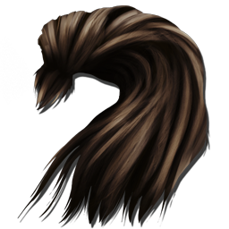Human Hair