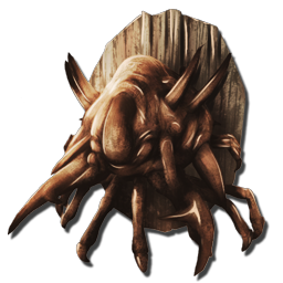 Iceworm Queen Trophy