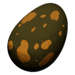 Turtle Egg