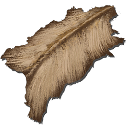Umbra Scale