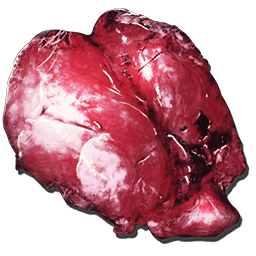 Yutyrannus Lungs